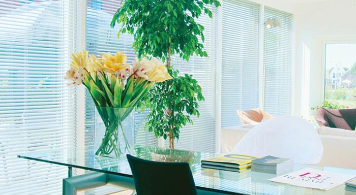 White aluminum blinds behind a glass table with flowers