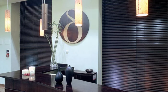 Dark basswood blinds in a living room