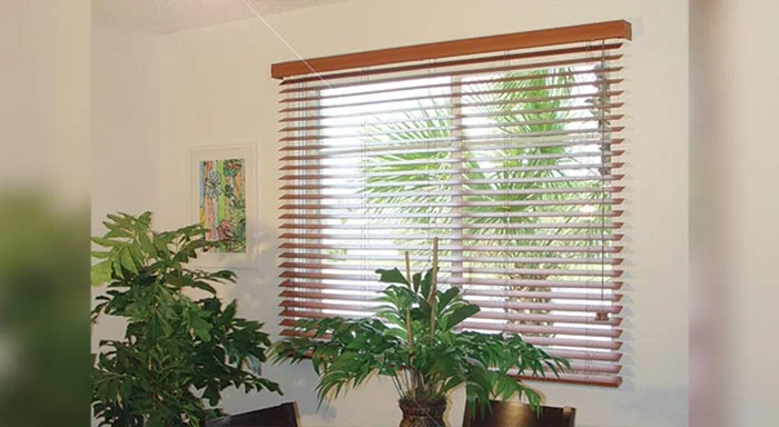 Faux wood blinds above a houseplant